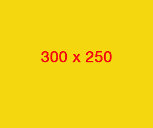 ad300x250